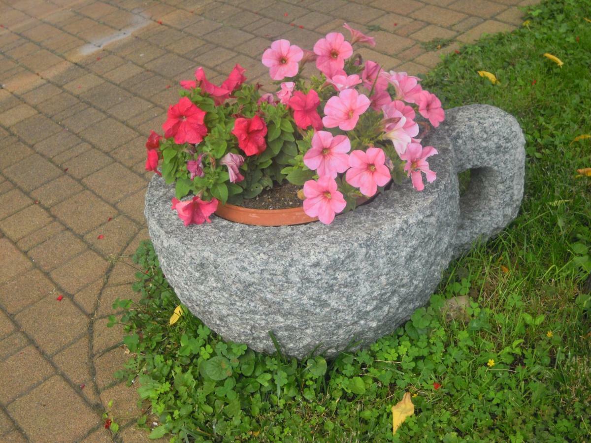 Il Nido Del Merlo Parcheggio E Giardino Verbania Exterior foto